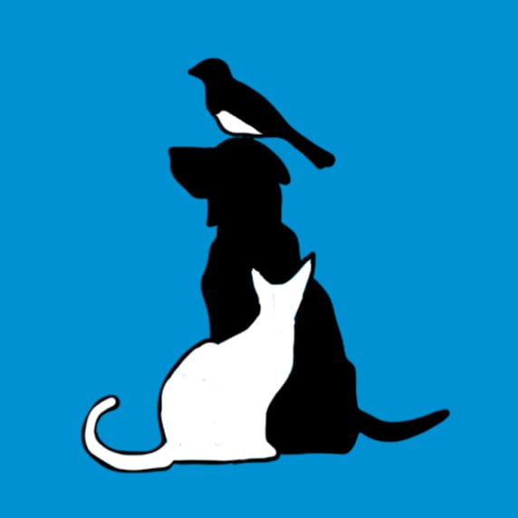 Best behavior Petg Training, Vero Beach