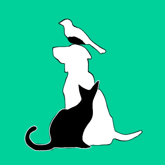 Best behavior Petg Training, Vero Beach