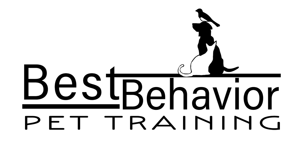 Best Behavior Pet Training