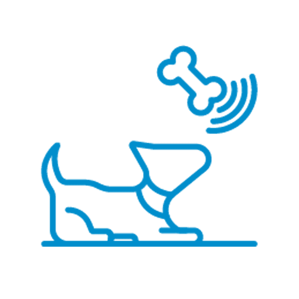 Best Behavior Pet Training icon set lightblue