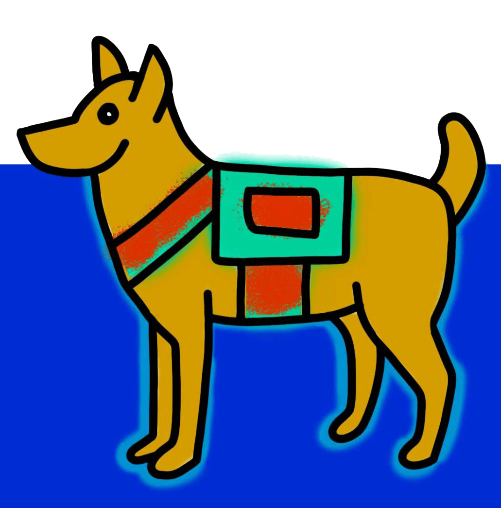 Best Behavior Pet Training Vero Beach