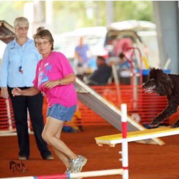 Cissy competition training