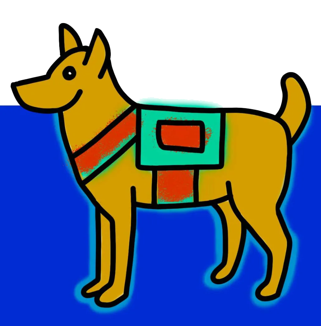 Best Behavior Pet Training Vero Beach