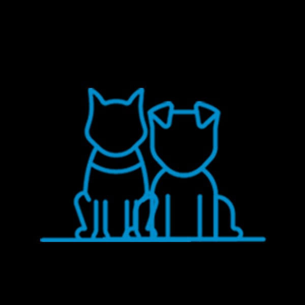 Best Behavior Pet Training icon set lightblue